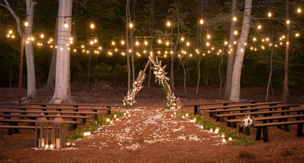 Ramblewood Staff Picks