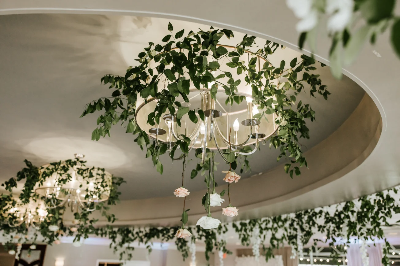 Ramblewood Staff Picks Ramblewood Staff Picks